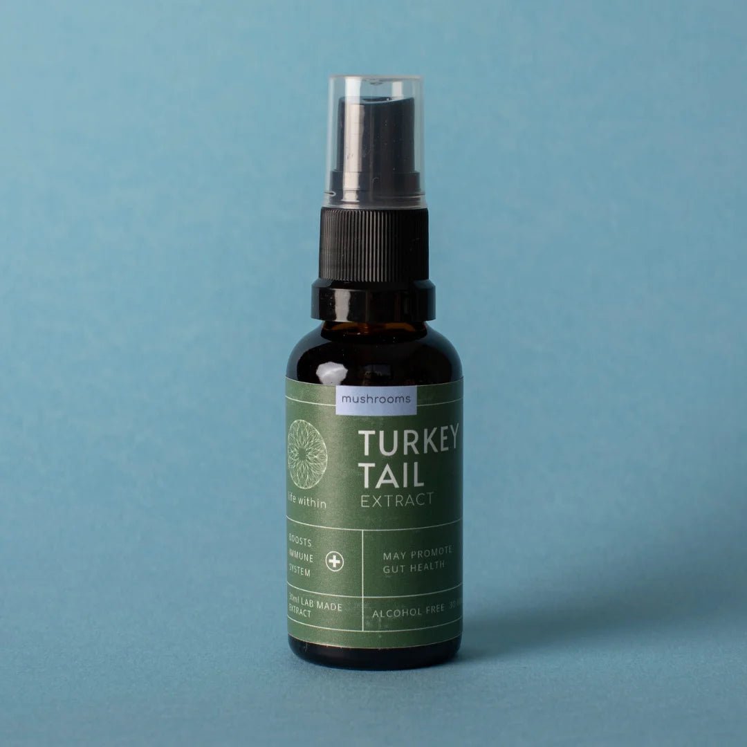 LIFE WITHIN TURKEY TAIL EXTRACT (30 ml) - SQOON