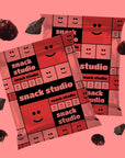 SNACK STUDIO COOKIE SQUARES - CRANBERRY CHOCO - CHIP (40g) - SQOON