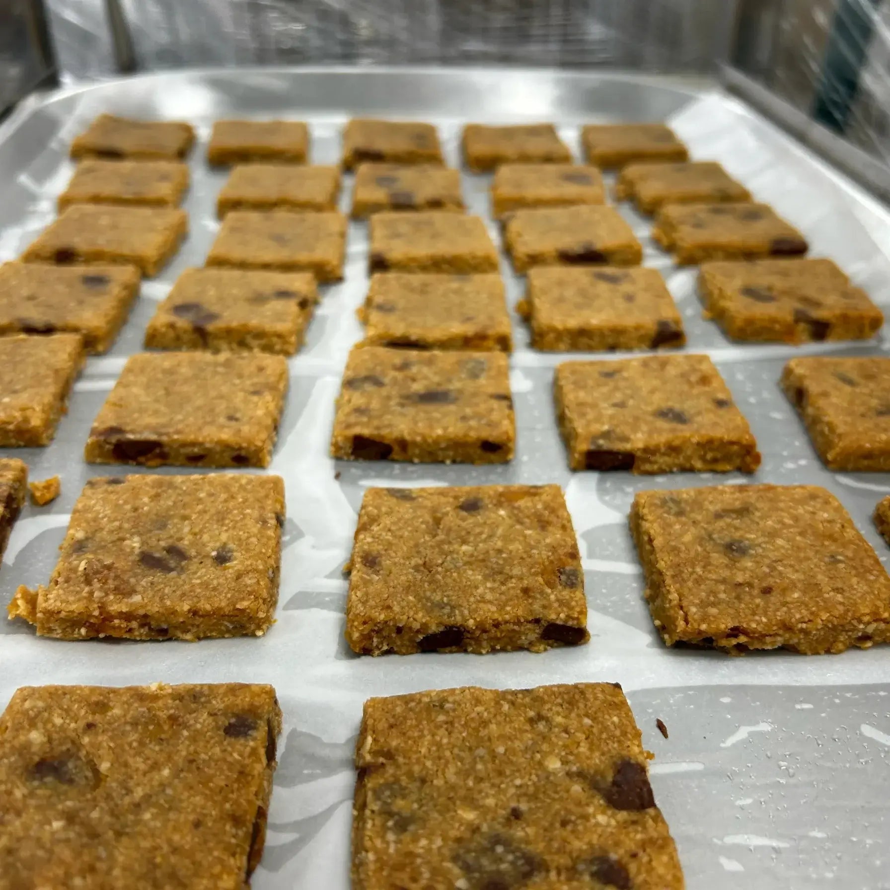 SNACK STUDIO COOKIE SQUARES - PEANUT CHOCO - CHIP (40g) - SQOON