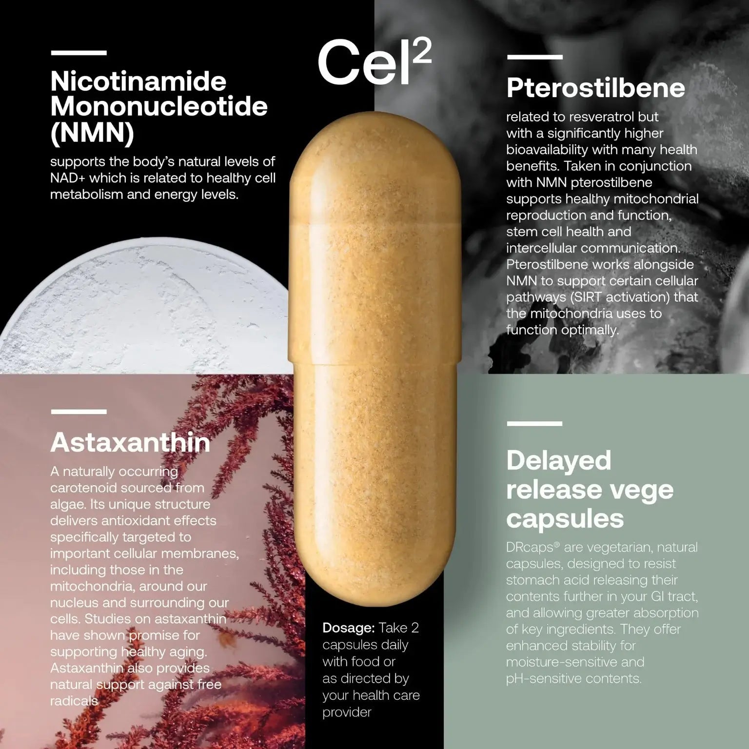 Delayed release vege capsule with information about Nicotinamide Mononucleotide (NMN), Pterostilbene, and Astaxanthin on a black background.