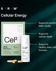 SRW Cel2 supplement packaging with text on a dark green background